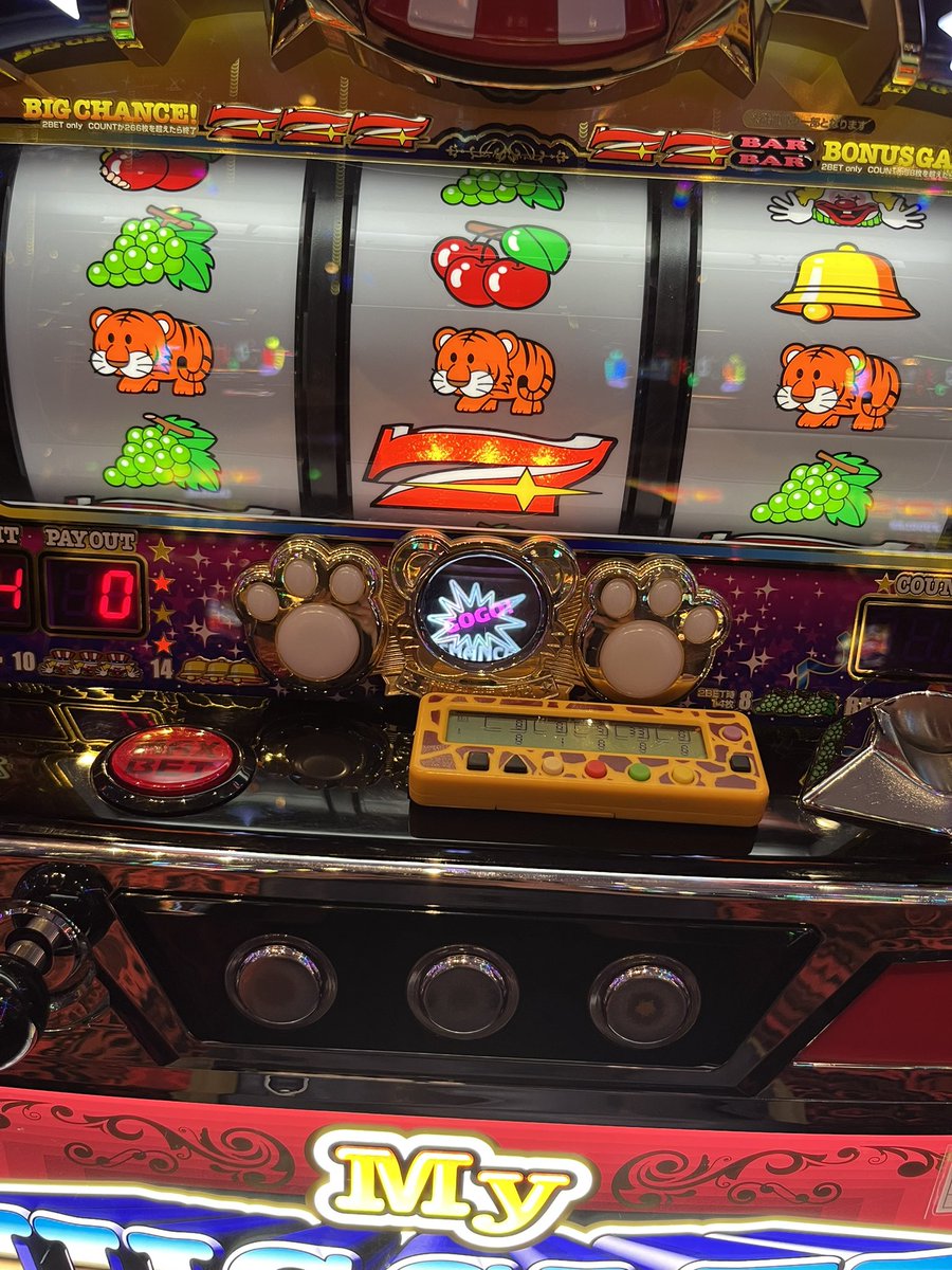 weekday_slot's tweet photo. 朝一プレミアは気持ちいいが勝ったためしがない… https://t.co/85aVHSYKJz