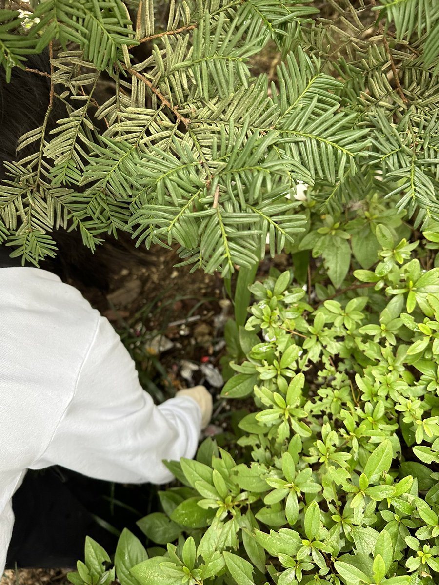 nate samuelson (he, him, his) tweet media