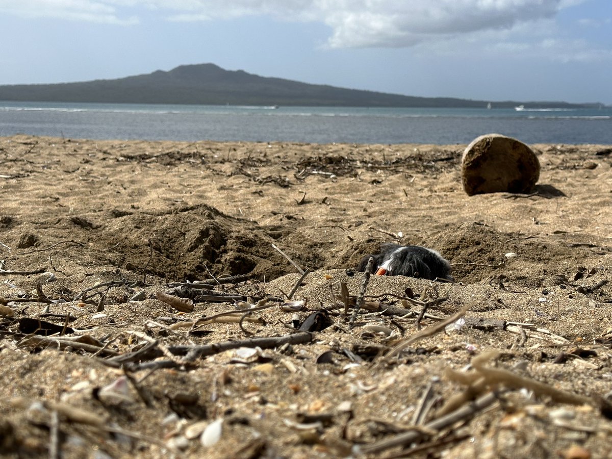 Glorious spring day!