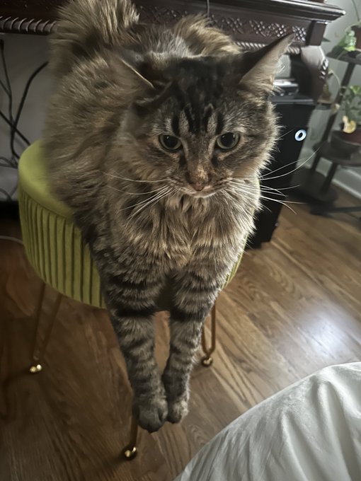 What a strange girl https://t.co/jwsE1aGP9M