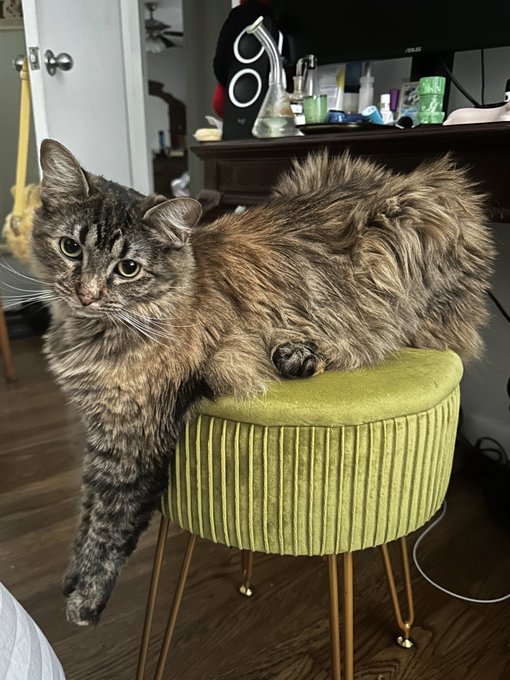 What a strange girl https://t.co/jwsE1aGP9M