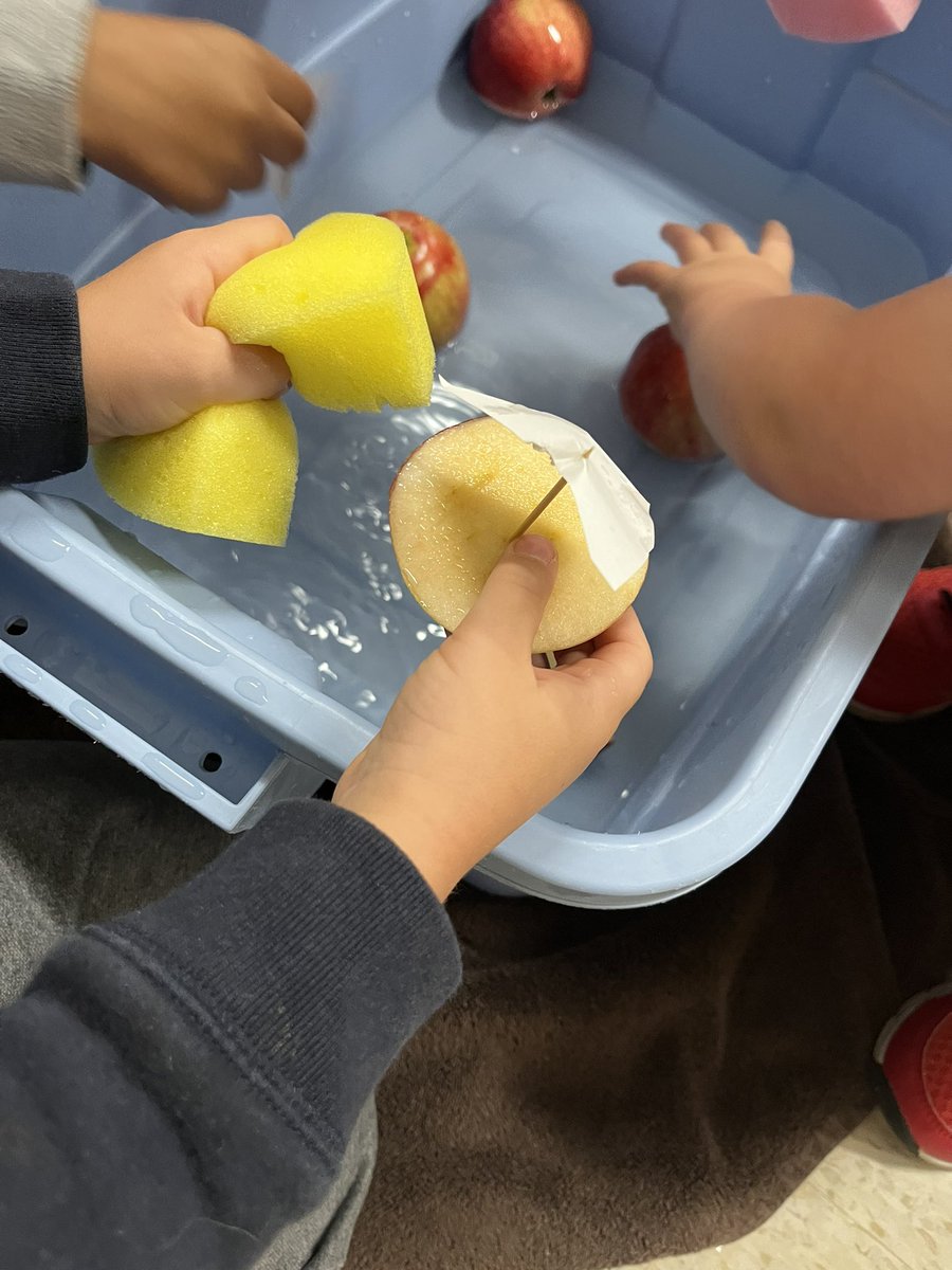 plat_edu's tweet photo. Kindergarten students @OntarioPublic are totally pumped to come to our newly renovated learning commons to engage in STEM with Mrs Droppert. Today they investigated apples and created apple floats. @dsbn #stem https://t.co/lWm0MOrCD2