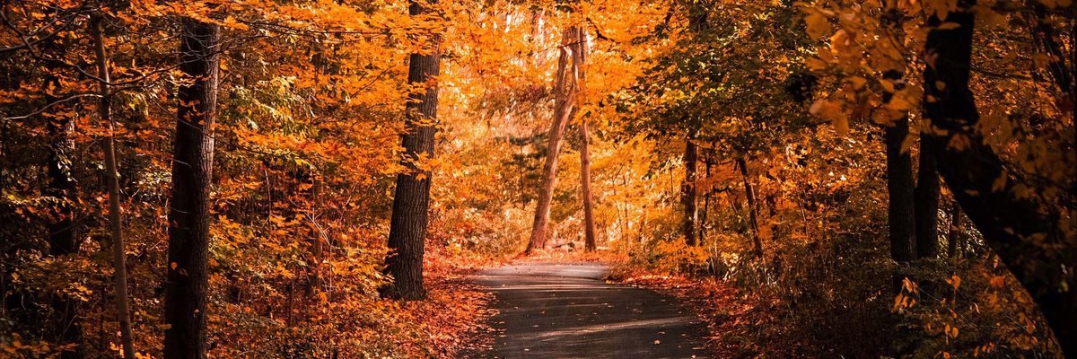 #NewAvatar as well as #FC. Not to be confused with the real Grace Van Dien at all.
Also, #NewHeader for fall time.