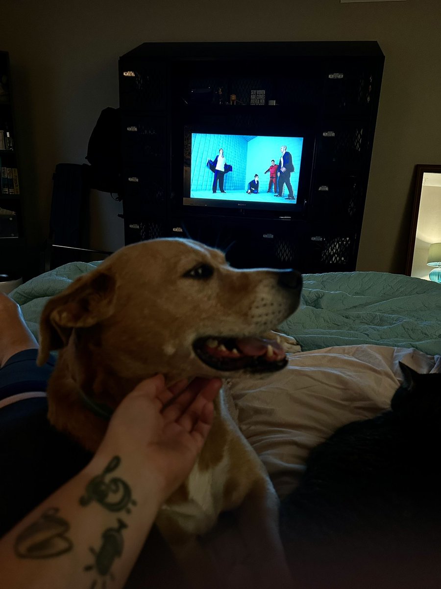 What am I doing on a Friday night?  The same thing a lot of 40 something’s are doing.  Watching *NSYNC videos and singing to my animals, of course!