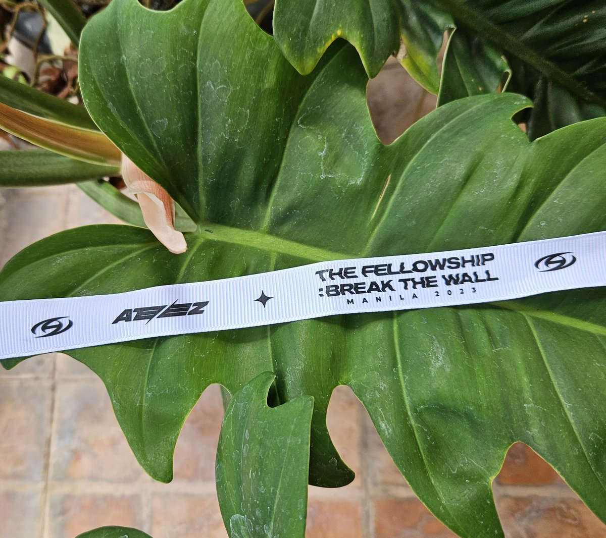 HI ATINY 👋 

I prepared ribbon bracelets for ATEEZ's first solo concert here in the Philippines as freebies!

✍️ rts + likes appreciated!
✍️ 1:1 only!

+ random official pcs, very limited only 🫶

SEE YOU!!

#ATEEZ #에이티즈 #FilotinyFreebies #TheFellowship 
#Break_The_Wall_MNL