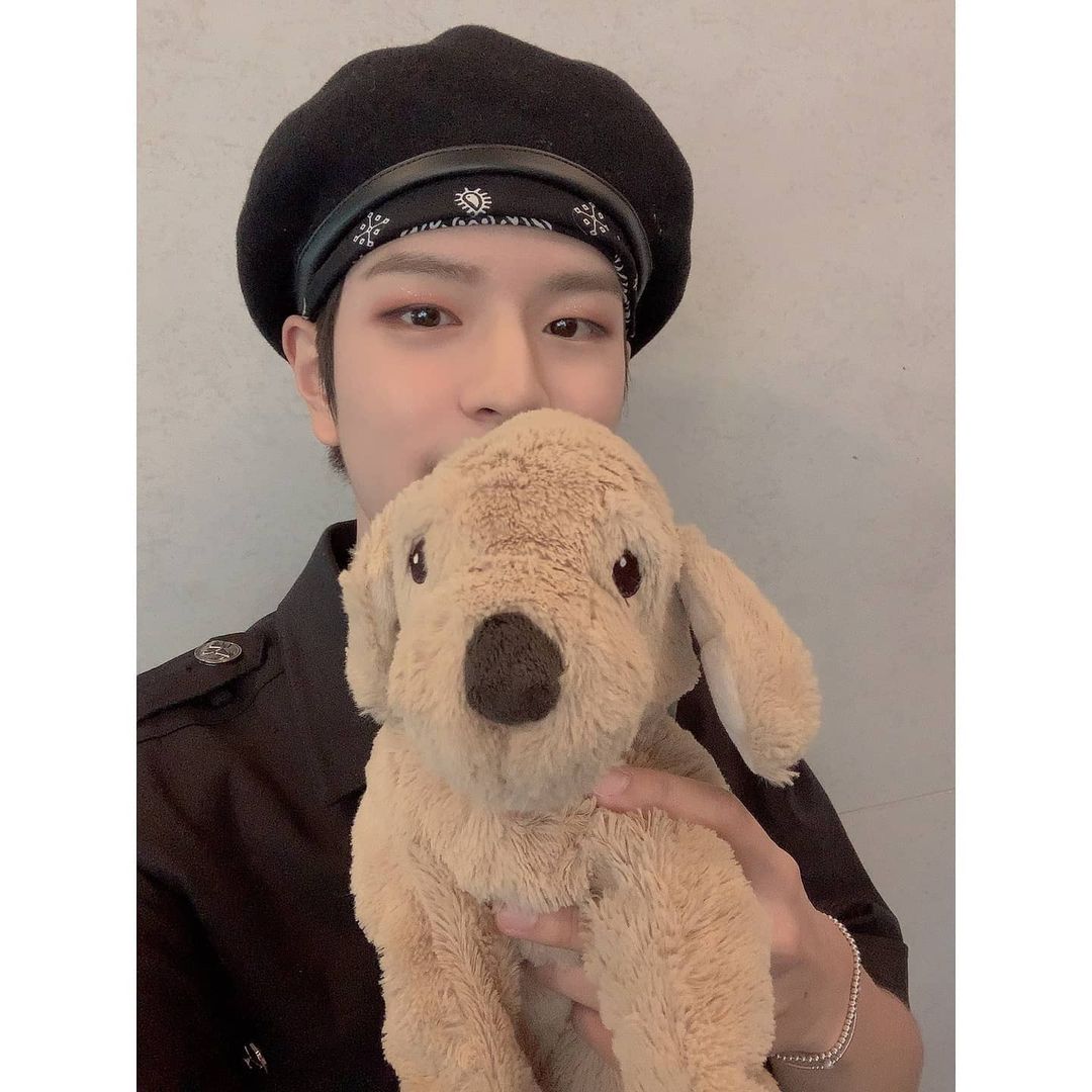 _p1ne_tr2e_'s tweet photo. 🤍〰️ 승민이 생일 기념 이벤트 〰️🤍

승민이의 생일을 맞아 #RT 추첨 한 분께 승민이 친구 댕모!!
이케아 강아지🐕를 보내드립니땨! 

당첨자 발표는 ❕️승민이 생일❕️ https://t.co/i5Q4Dz1wUG