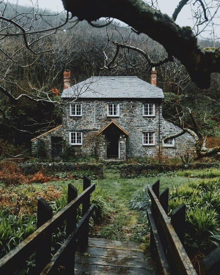 Looks like the perfect place to read novels, grow English herbs, and slowly lose my grip on reality 🌙 ❤️