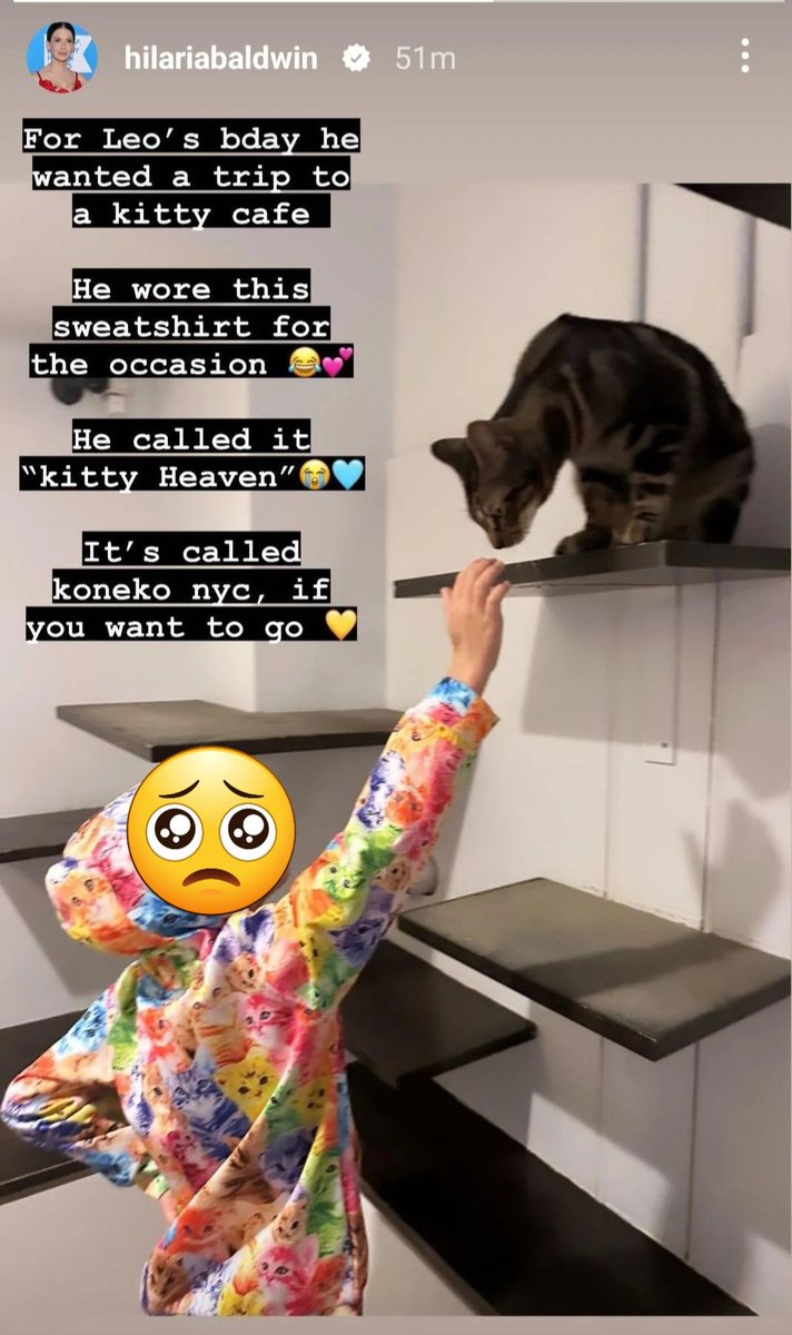 smallerpepino's tweet photo. #HilariaBaldwin Why would your son want to visit kitties when you supposedly have 5 Bengals at home?? Where are your cats? Where are your dogs? They've all been MIA for too long. What have you done? @peta #pepino #reddit #stillnotspanish #alecbaldwin #FYP ๐ฅ https://t.co/tn6tONDLAj