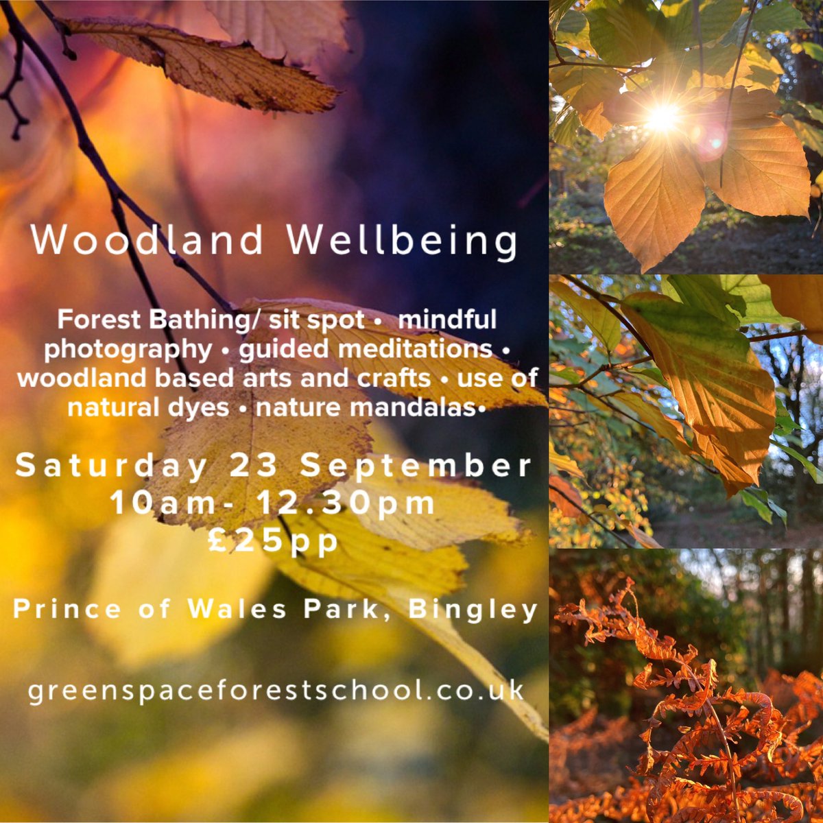 The next woodland wellbeing session at Prince of Wales Park in Bingley is on Saturday 23 September, otherwise known as the FIRST DAY OF AUTUMN! 😍🍁🐿️🍄🍂🤩
To book please visit greenspaceforestschool.co.uk
@BfdForestSchls 
#Wellbeing #sitspot #landart 
#Mindfulness #meditation