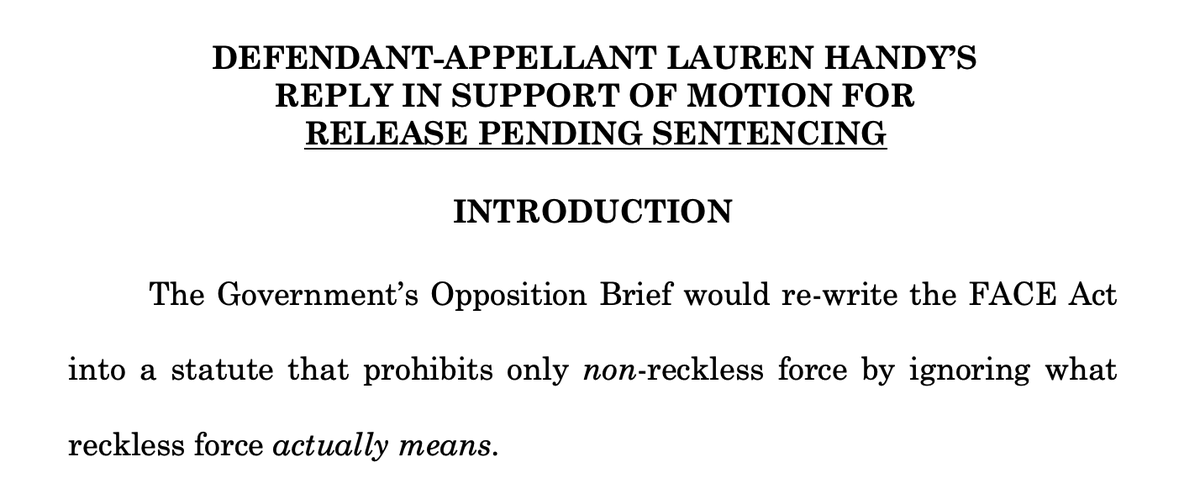 ThomasMoreSoc's tweet photo. ๐บ๐ธ#USvHANDY UPDATE: Yesterday, we filed our response to the DOJ in our Emergency Appeal to free Lauren Handy. You can read it here: https://t.co/CQlyK05atj https://t.co/tgGlqngE9K