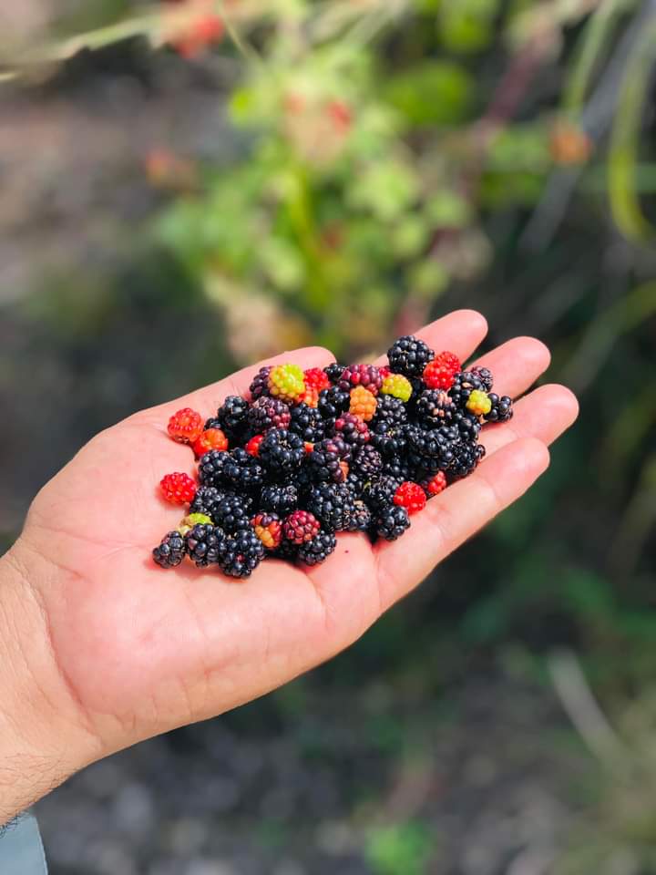 By discovering nature, you discover yourself #PetrolDieselPrice