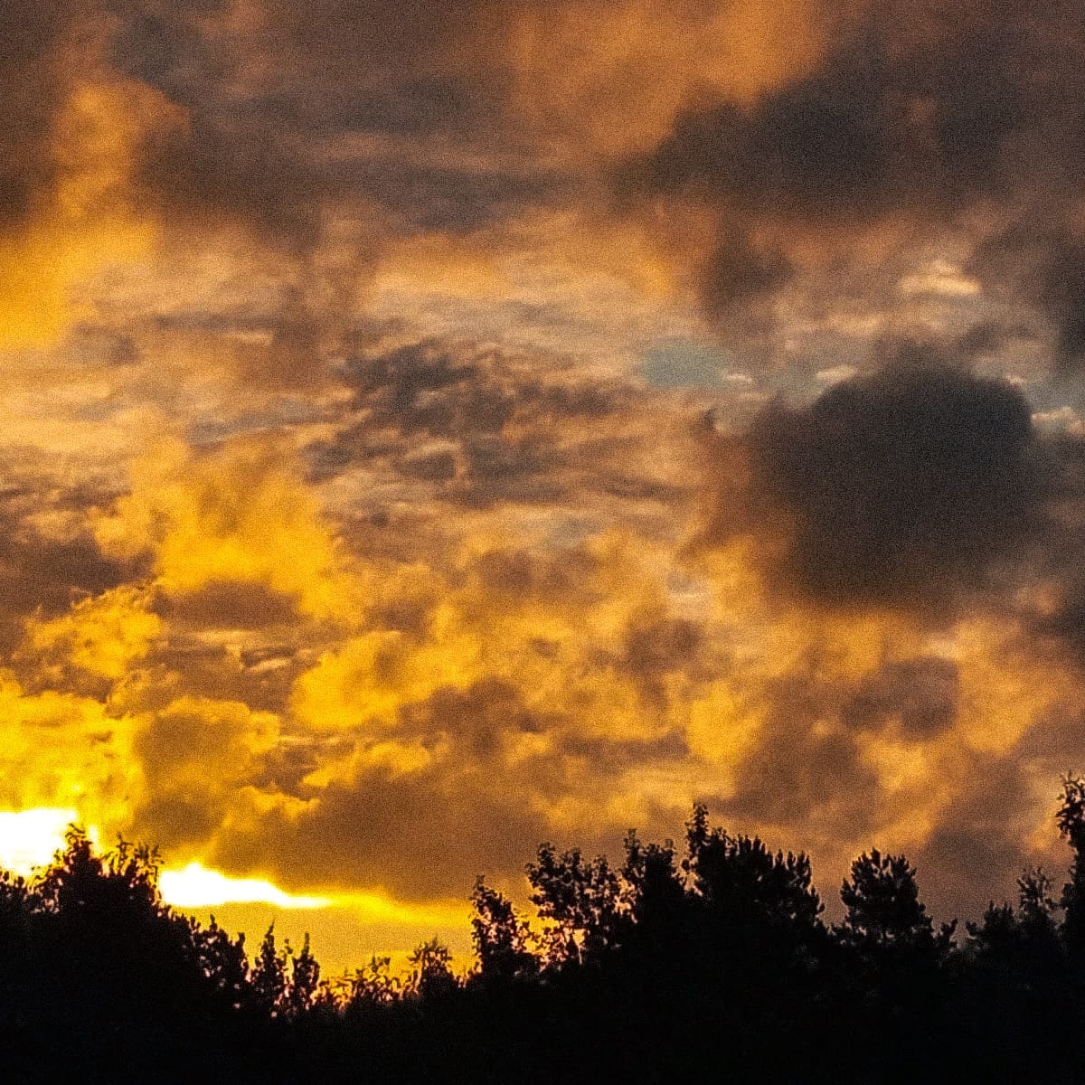 Kristinesk2 (@kristinesk22) on Twitter photo 