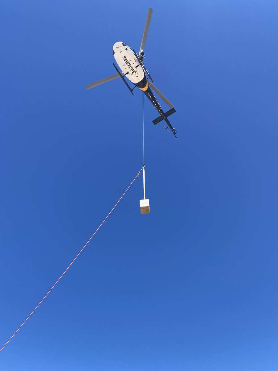 PCSD Search and Rescue tweet media