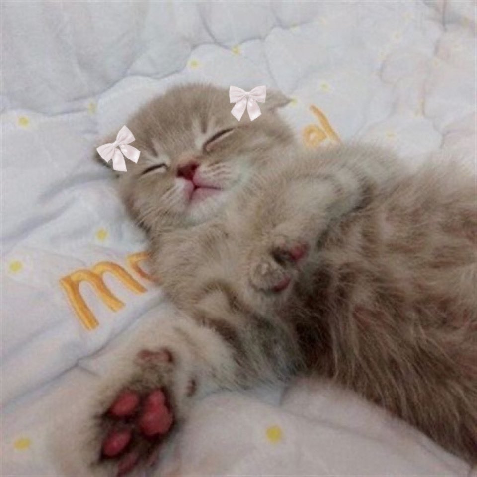 whats_ca's tweet image. 