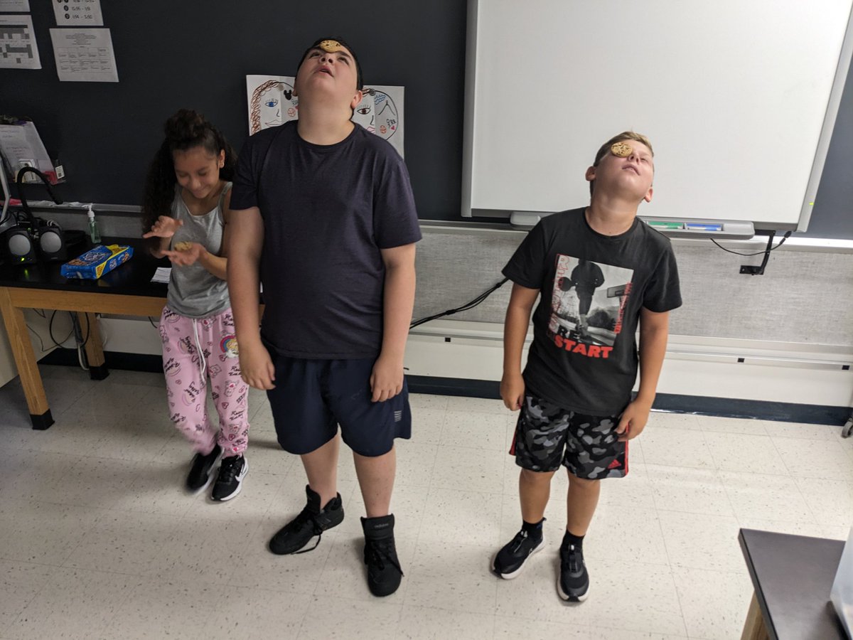 stefanie0124's tweet image. #funfriday today in #AVID @greecearcadiams #cookiechallenge @13KarynP13