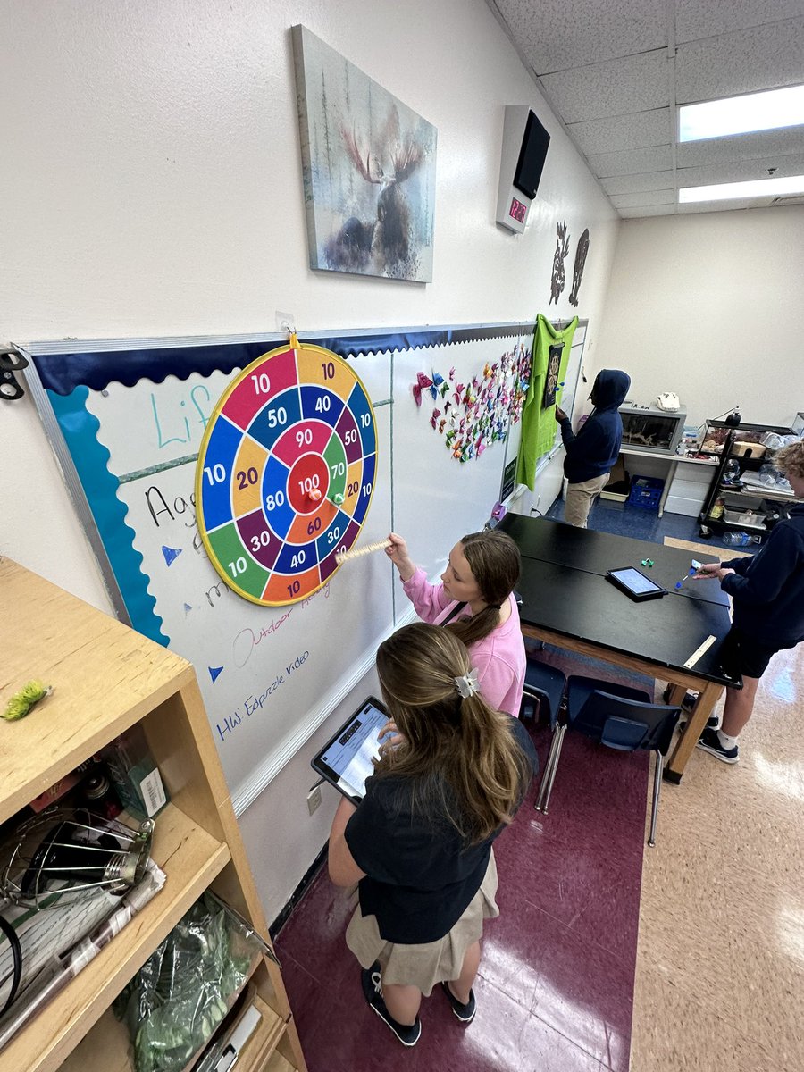 Alisha Hogg 🐬 tweet media