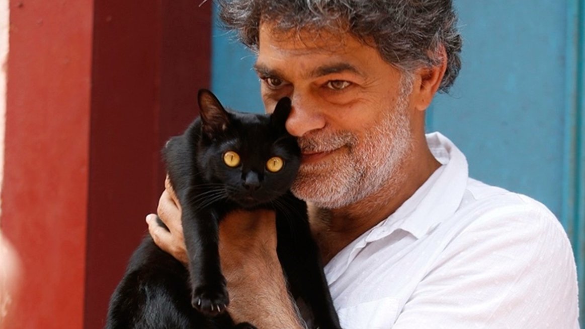 DuhSecco's tweet photo. Aposto nesses dois gatos. Só quem viu #OSétimoGuardião vai entender... Será que Aguinaldo Silva previu o futuro do SBT? https://t.co/9GAUMSi4c4