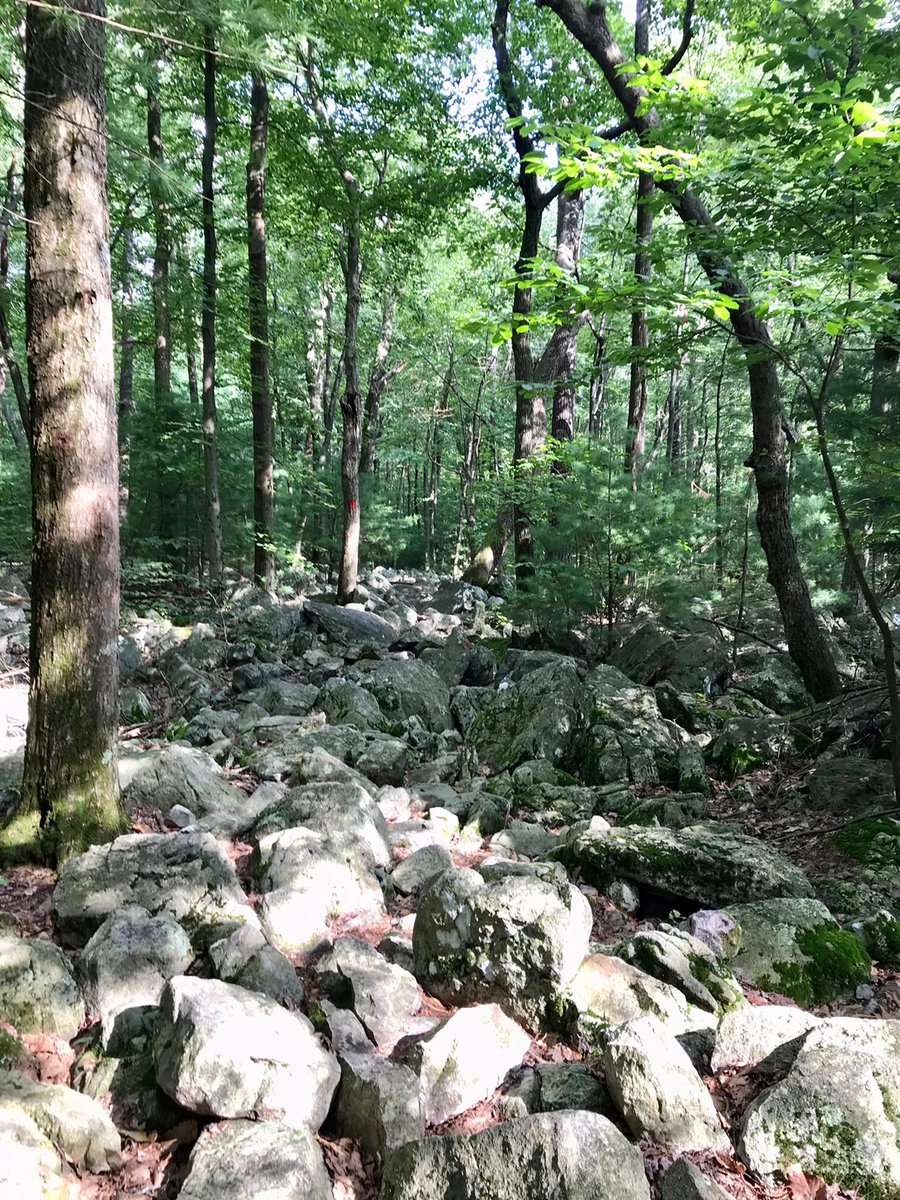 HAWK MOUNTAIN Raptor Nature Reserve near Philadelphia.
Very close to ALLENTOWN and LEHIGH UNIVERSITY.
Lots of rocks, valley scenery, and eagles, falcons, and vultures circling in the sky.