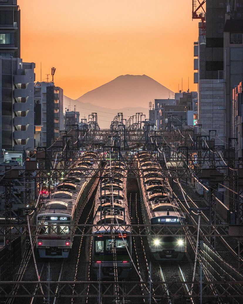 MissCelaneaOne's tweet photo. Tokyo 

(📸©️kazu photos) https://t.co/t2n1GtRGAz