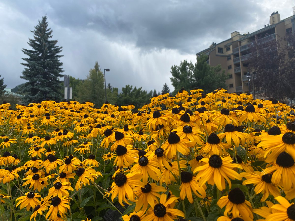 christielodge's tweet photo. The seasons are changing!  Before you know it, we will be enjoying our winter sports! #christiemoments #discoveravon #beavercreekresort https://t.co/RknE25hsTT