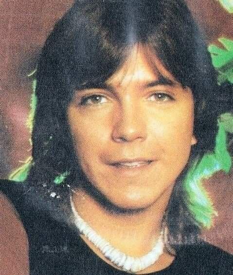 jessbythebsb's tweet photo. Oh our stars.. 😍🩷🩷🩷🩷🩷 #DavidCassidy #love #themeyes 👀 https://t.co/VC3IhMx8F2