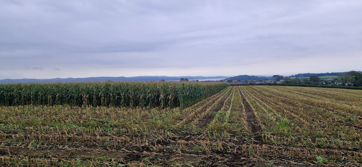 BoltonManor Farm tweet media