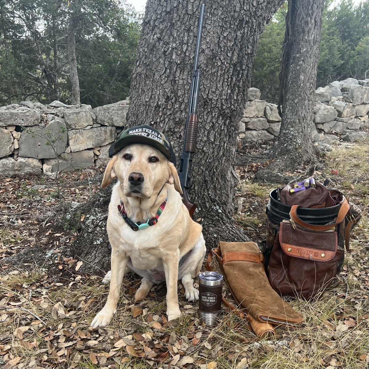 Texas_MATACA's tweet photo. This Dog Will Hunt - Deck yourself out in our Camo Make Texas A Country Again Trucker Hat #MATACA #MakeTexasACountryAgain #TexasPride #LoneStarState #RepublicofTexas #SECEDE #TEXIT #TexasHunting #TexasHunter #HuntTexas #dogsofinstagram #dogoftheday #dogsoftexas #texasdog #doglife https://t.co/uPBnBk7aAk