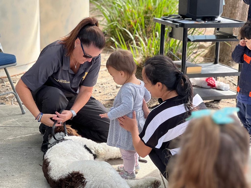 So much fun! Thank you to everyone who joined us today for Story Time with Livermore Police Officer Burruss, Support Dog Tater and Crime Prevention Specialist Aguon at @LivLibrary Rincon Branch Library.

The kids enjoyed the book “If My Dog Tater Could Talk!” 🚔🐾

Next stops: