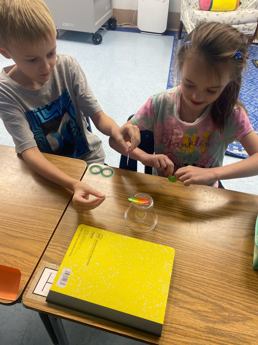 mrs_vanhout's tweet image. Shout out to Ms. Myszak’s 3rd graders - they SAVED FRED all while learning about scientific engineering processes! #HCSscience @barronknights  @LWyattHCS #weareHCS @HamptonCSchools