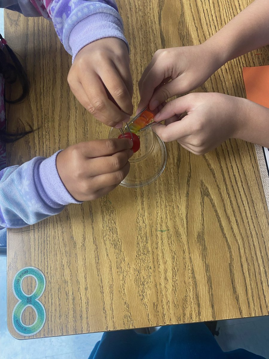 mrs_vanhout's tweet image. Shout out to Ms. Myszak’s 3rd graders - they SAVED FRED all while learning about scientific engineering processes! #HCSscience @barronknights  @LWyattHCS #weareHCS @HamptonCSchools