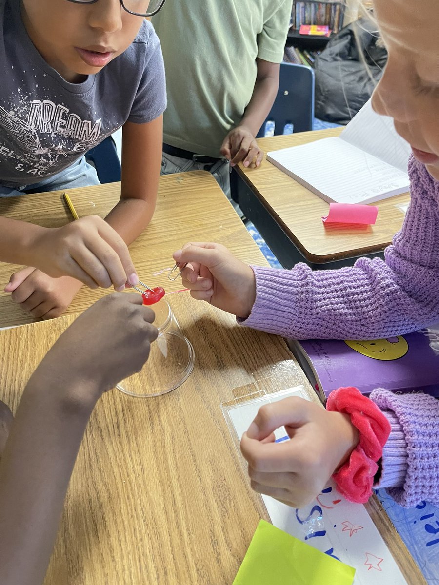 mrs_vanhout's tweet image. Shout out to Mrs. Pettaway’s 3rd graders - they SAVED FRED all while learning about scientific engineering processes! #HCSscience @barronknights  @LWyattHCS #weareHCS @HamptonCSchools