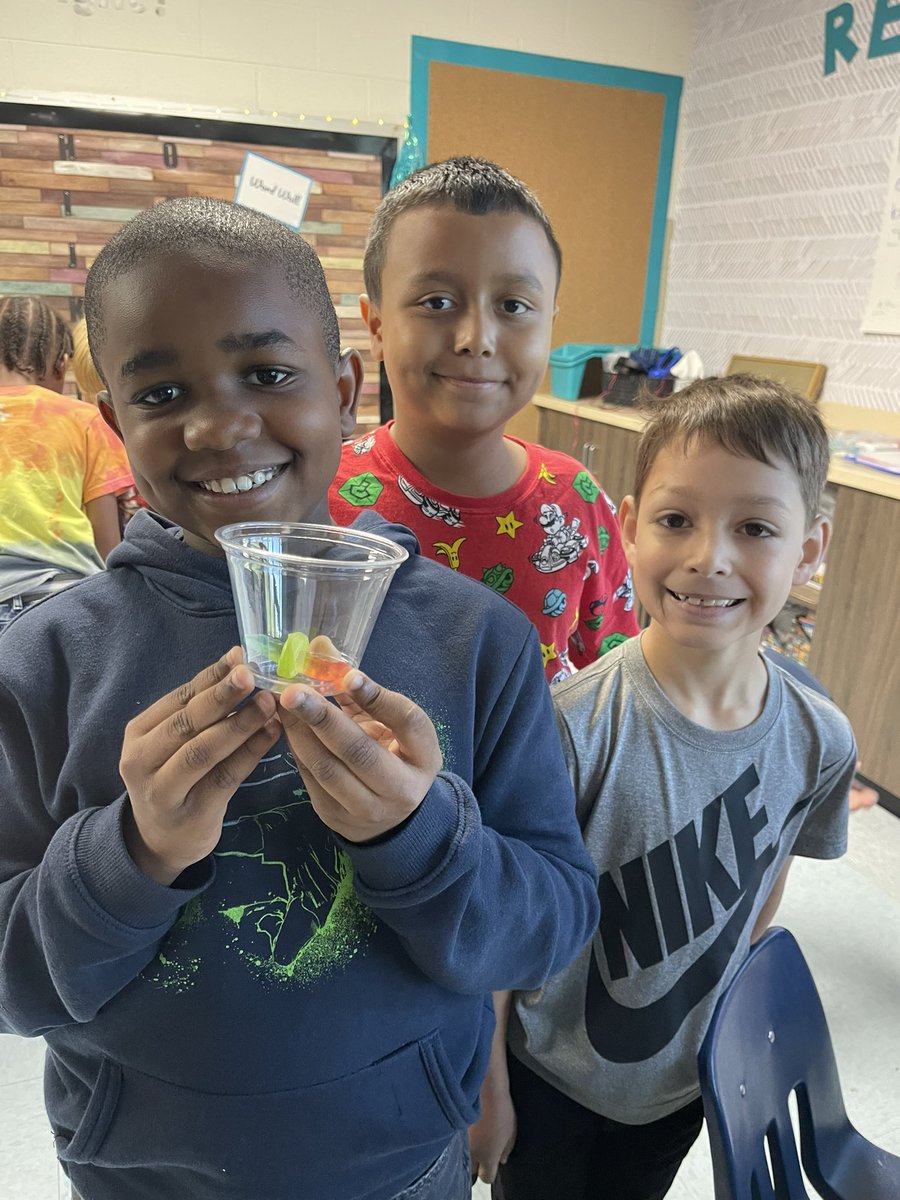 mrs_vanhout's tweet image. Shout out to Mrs. Pettaway’s 3rd graders - they SAVED FRED all while learning about scientific engineering processes! #HCSscience @barronknights  @LWyattHCS #weareHCS @HamptonCSchools