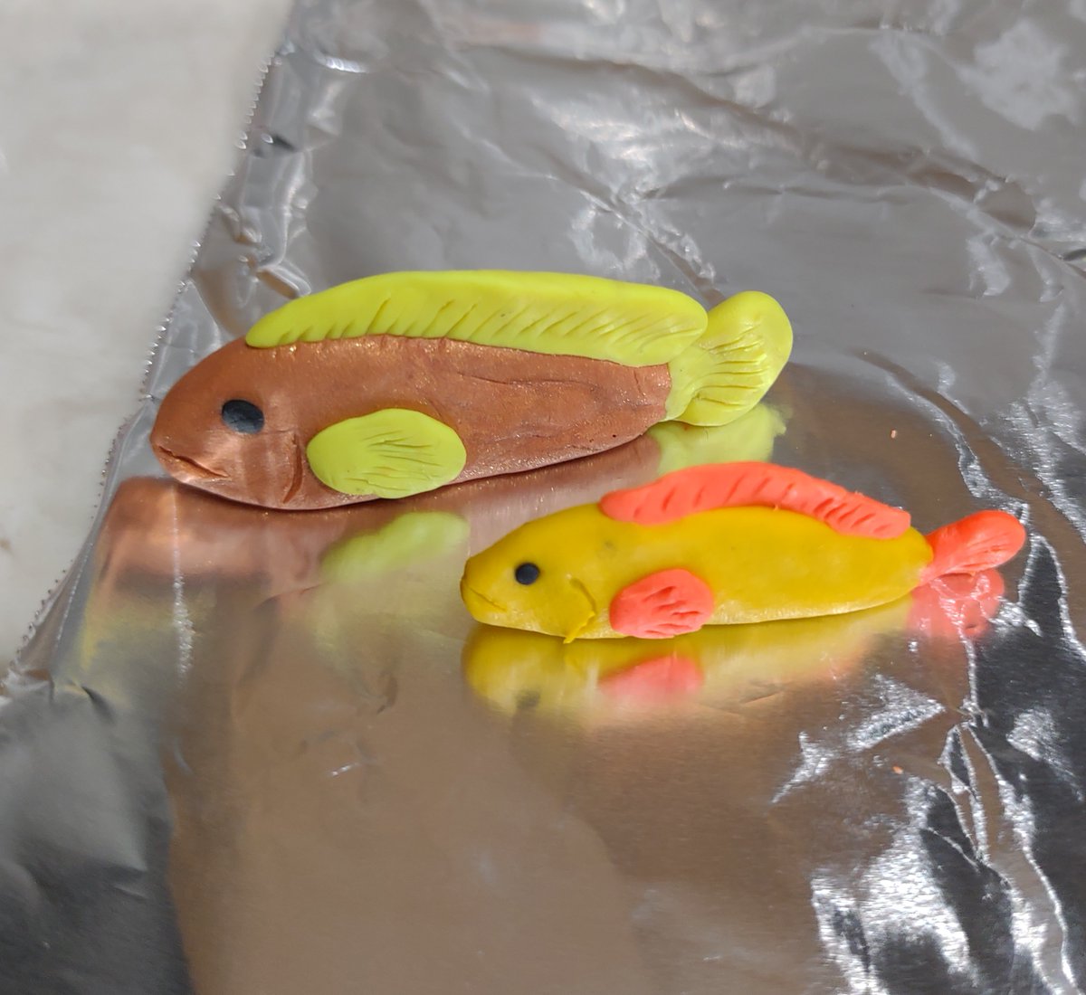 E_Andersonii's tweet photo. Fish Friday! @SERCfisheries do  I need an IACUC? https://t.co/CwRumM8yjJ