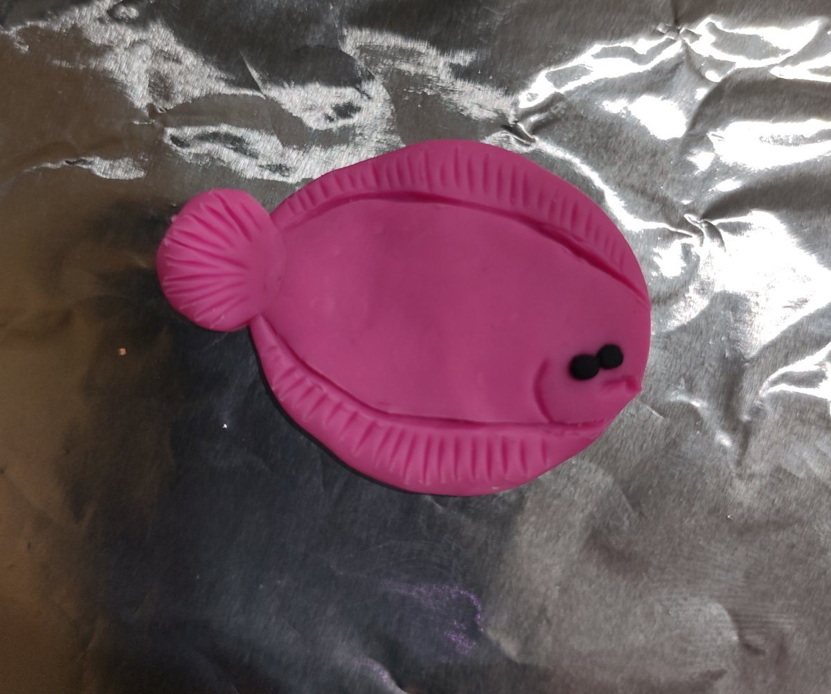 E_Andersonii's tweet photo. Fish Friday! @SERCfisheries do  I need an IACUC? https://t.co/CwRumM8yjJ