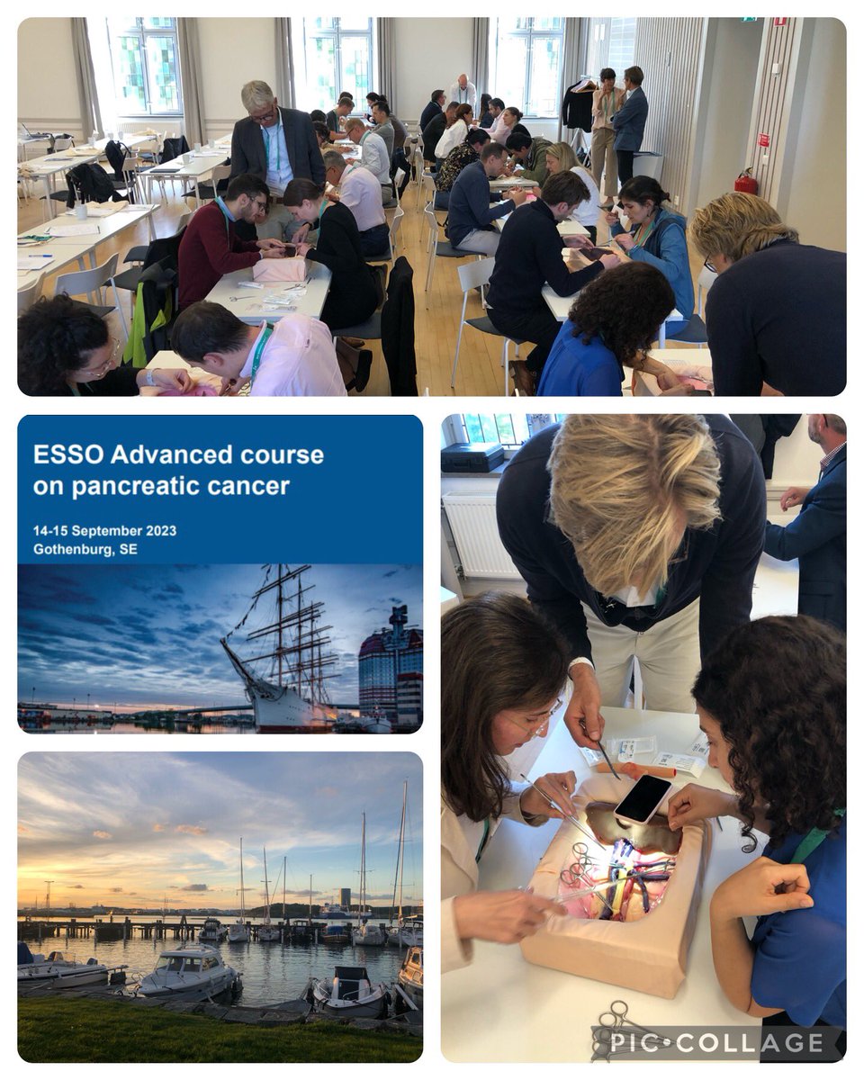 e_rangelova's tweet photo. @sahlgrenska and @SahlgrenskaAcad just hosted an overbooked @ESSOnews course on advanced pancreatic cancer surgery. So happy to have had the best faculty and incredible participants! Thanks for the support @OlofssonBagge @spartelli @smieog #ThiloHackert #SahlgrenskaPancreas https://t.co/ARiHpa8LVU