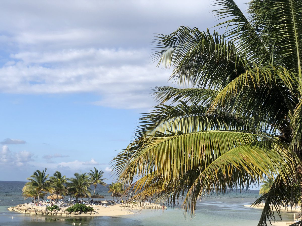 Dervan Malcolm (@bothsides106) on Twitter photo 