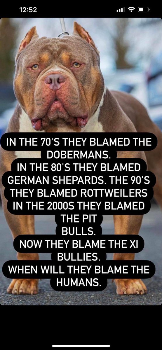 pineychunk's tweet photo. It’s about time the government realise that it’s not the dog’s fault!! It’s about the owners and they should be prosecuted. If this was a kid attacking another kid, would you ask for them to be put down? Of course not, punish the owners not the dogs!!! https://t.co/I0IZWMaAo4