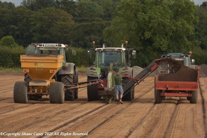 Shane Casey tweet media