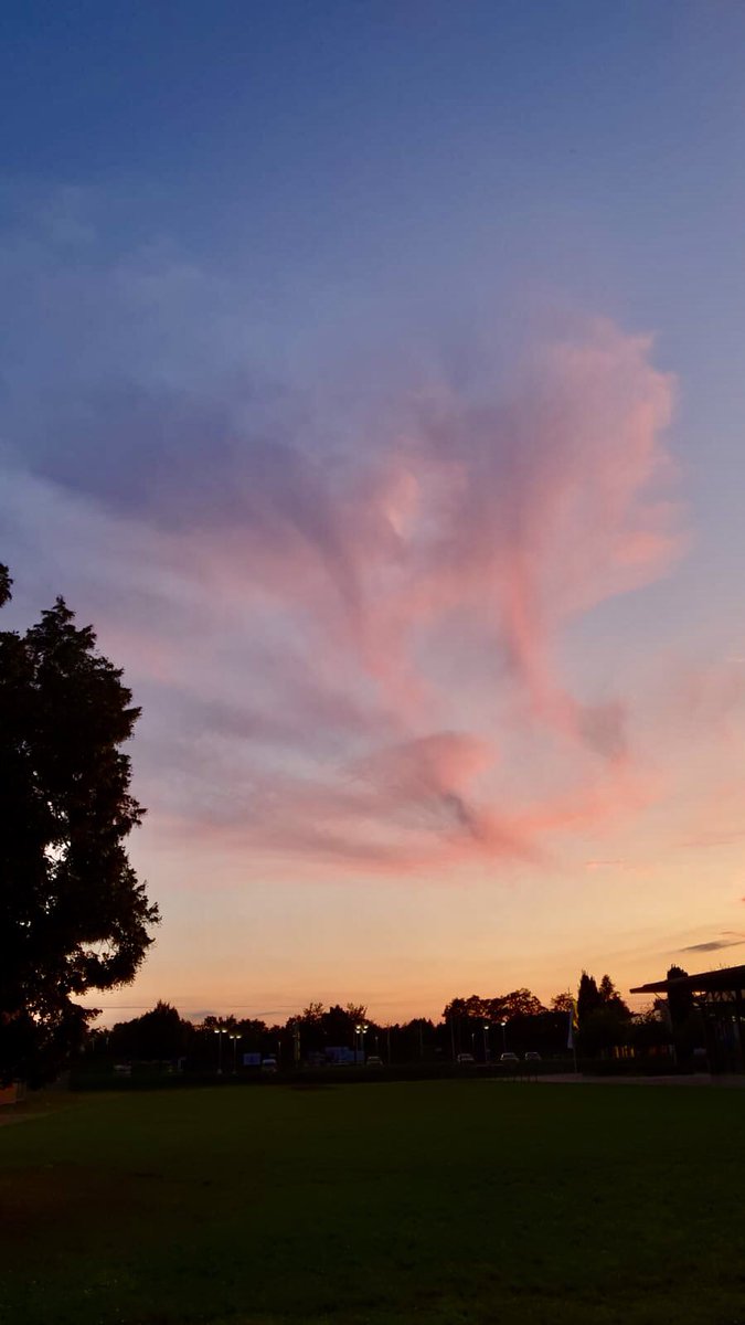 Petra Schewe (Kerkmann) (@mosel_mama) on Twitter photo 