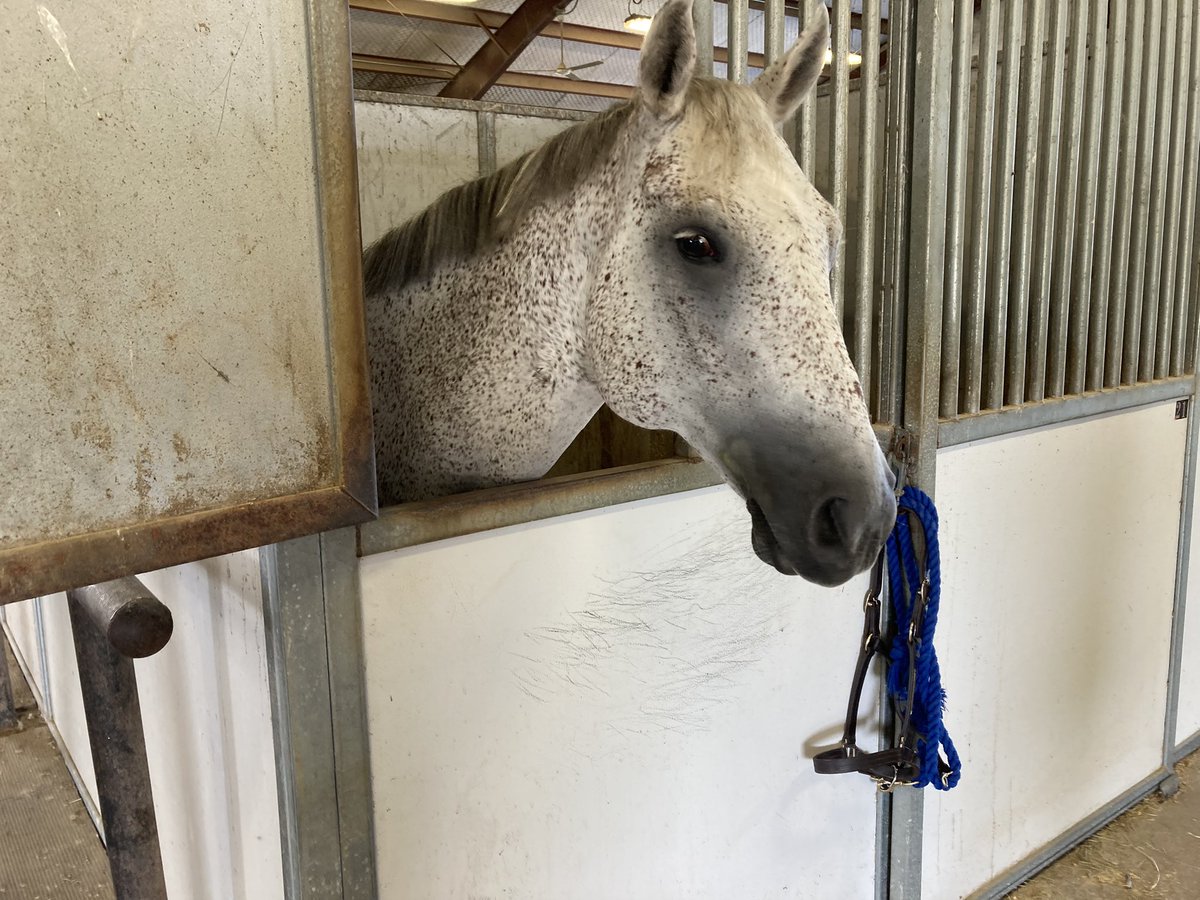 We had a great Ag Day for our Leadership Murray class. I enjoyed learning more about the technological advances, spray drones and digital solutions to assist farmers, as well as  the history of farming in this area. Thank you to everyone who planned and provided the day for us!