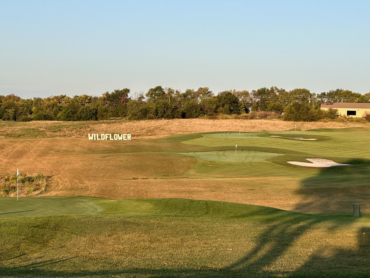 Taylor Olson tweet media