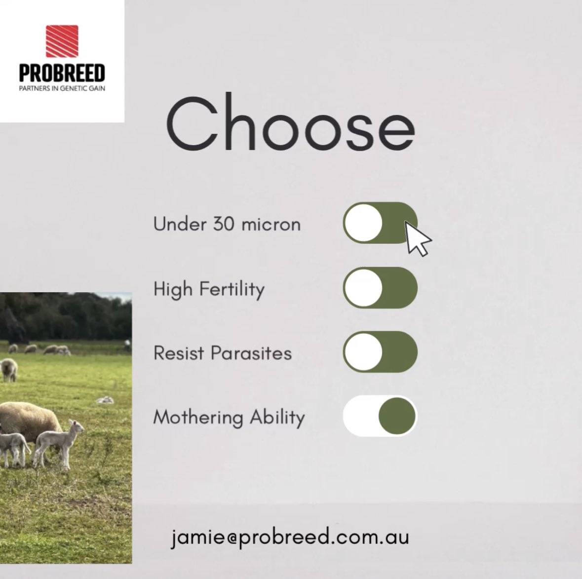 ProBreed's tweet photo. Our ProBreed Plus program is gathering pace, if you would like drive down micron with minimal compromise? Call Jamie 0417511223 #PrimeLambs #ProBreedPlus #ProBreedMaternal #ProBreedTerminal #ASBVs https://t.co/QtD5KbBSsW