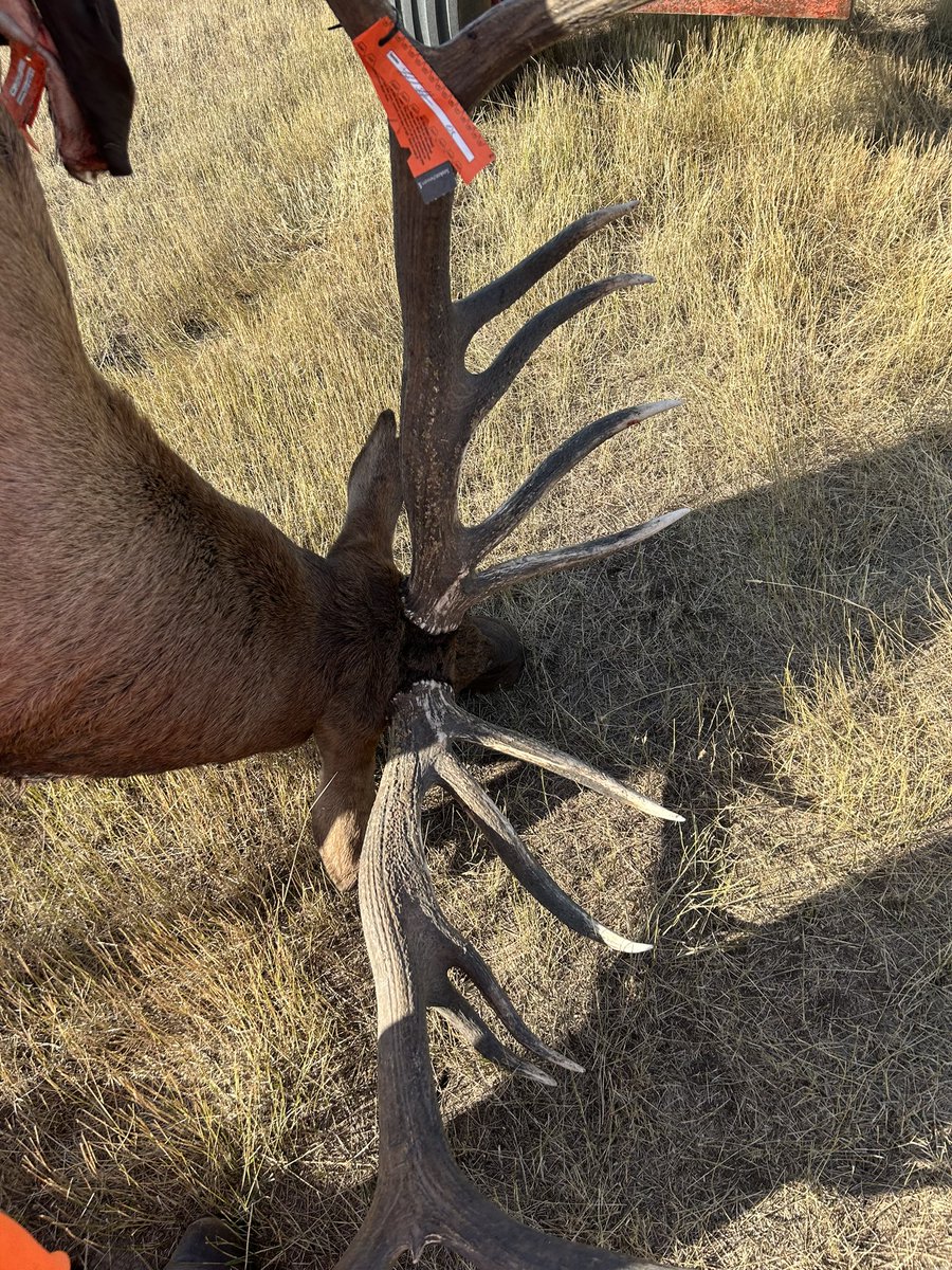 DustinStorle's tweet photo. Successful first day! #weatherby #7X7 https://t.co/wONJe2ppOo