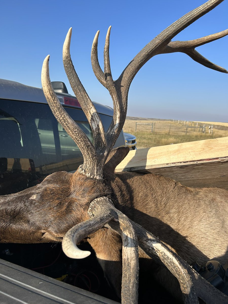 DustinStorle's tweet photo. Successful first day! #weatherby #7X7 https://t.co/wONJe2ppOo