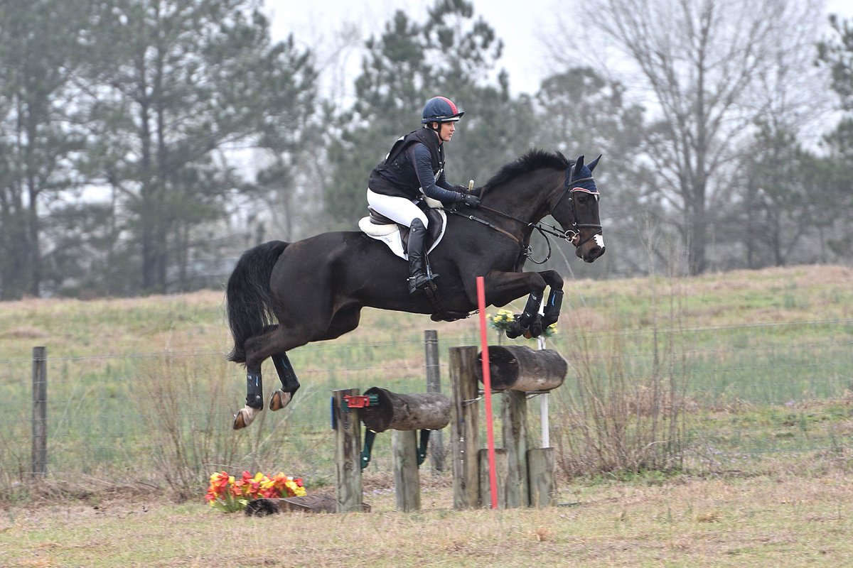 allisonspringer's tweet photo. I cannot say enough about my BEMER horse set. We like to use it to aid in recovering faster after workouts.

📸 Liz Crawley 

#BEMER #horsehealth #perfoamnce #circulation #recovery #inflammation #allisonspringer #aseventing #equestrian #ad https://t.co/w7MGj3eJk5