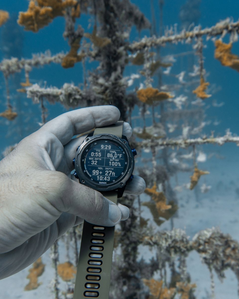 coralcrf's tweet image. In this #FridayFieldUpdate, today, our team was at our Carysfort Nursery and the water temperatures were reading around 86 degrees Fahrenheit. This is 4 degrees cooler than they were just two weeks ago, stay tuned to see if these cooler temperatures will persist!