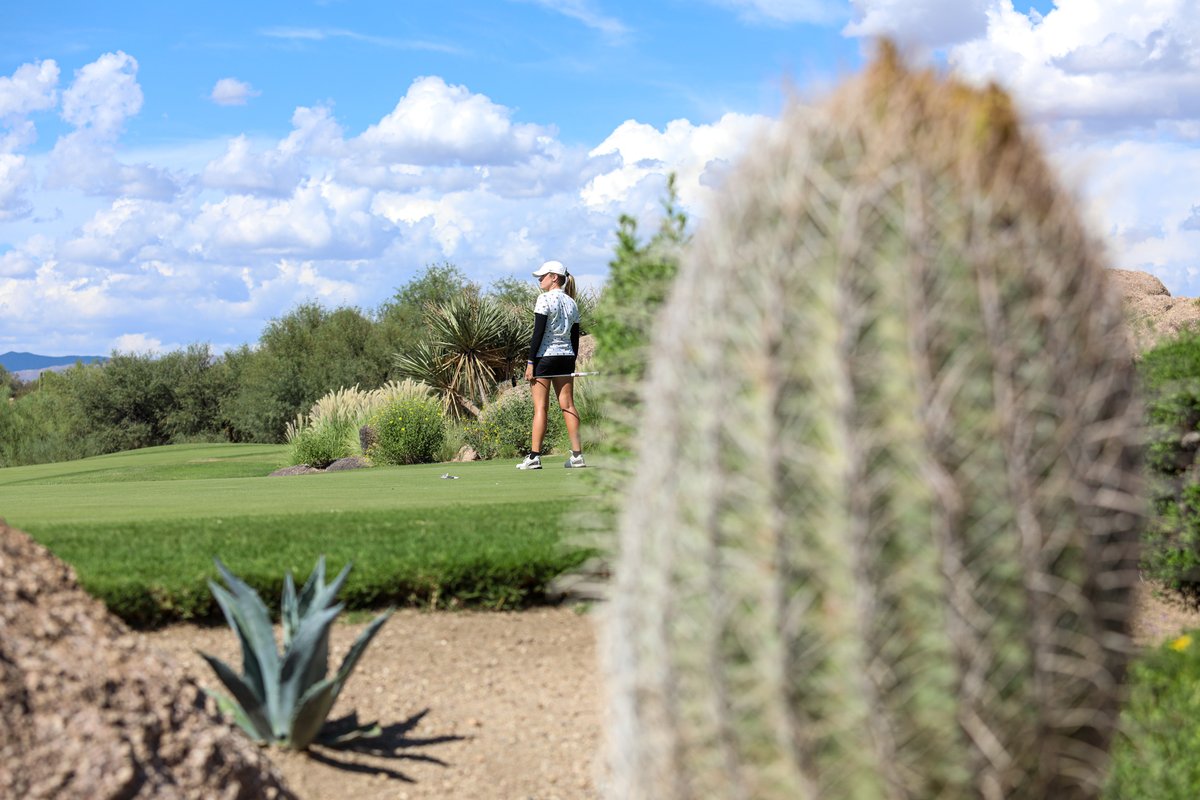 GCU Women's Golf tweet media