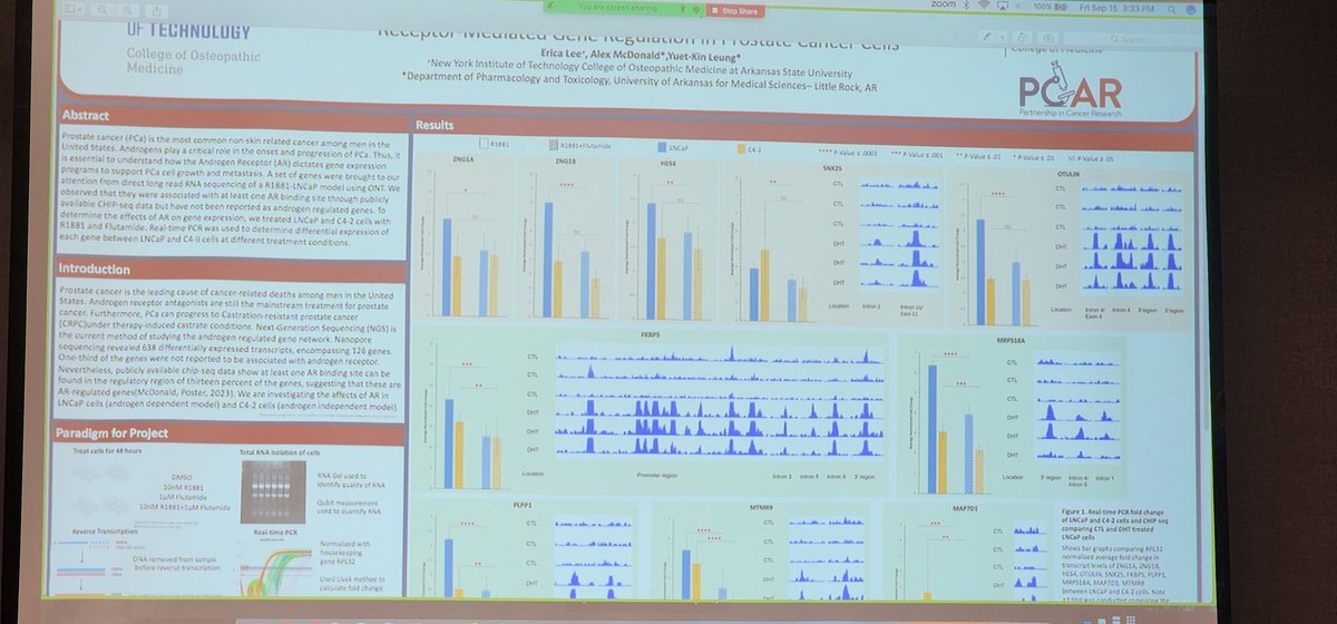 BrookLaurent's tweet photo. Congratulations to Student Doctor Erica Lee  @NYITCOMAR @NYITCOMDO presenting study on differential gene expressesion through androgene receptor and role in Prostate Cancer at   Arkansas Osteopathic Medical Association! https://t.co/qbqGSo1KHj