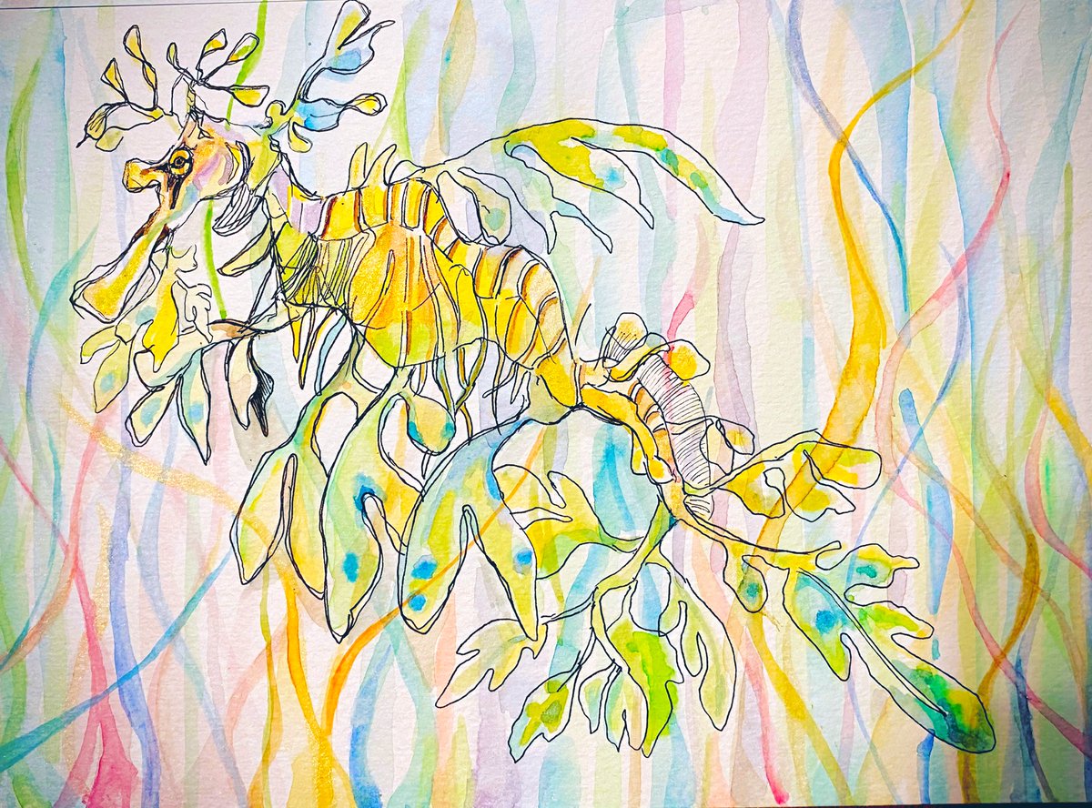 Leafy sea dragon リーフシードラゴン
#Leafyseadragon #drawing 
#Saltwaterfish #海水魚　#水彩画
#Watercolor #オーストラリア
#Australia
