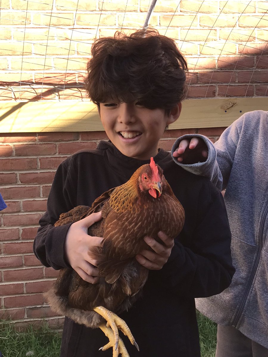 Farm Friday! We learned about chicken breeds, and how to properly handle chickens. We had a great time visiting the Oakton ladies! Some members of the Farmily overcame their fear of holding a chicken. So proud of them! 🐔